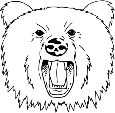 BEAR023