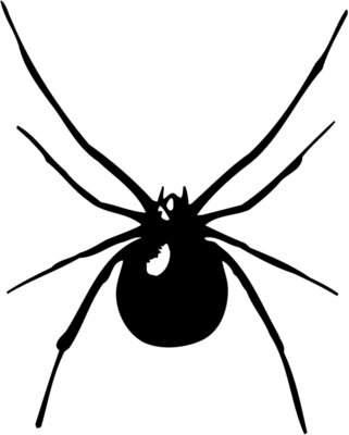 SPIDER03