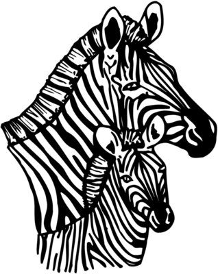 ZEBRA002